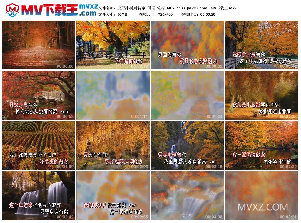 虎牙妹-随时待命_国语_流行_ME201583
